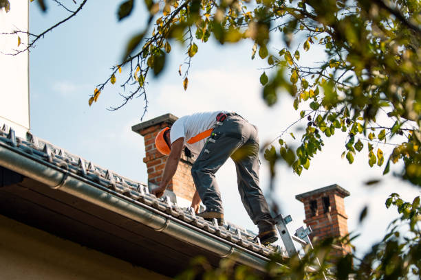 Best Roof Gutter Cleaning  in Crossett, AR